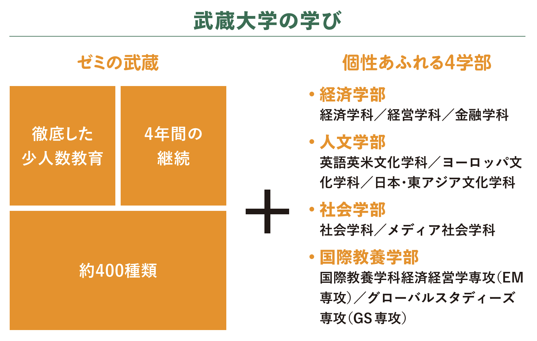 武蔵大学の学び