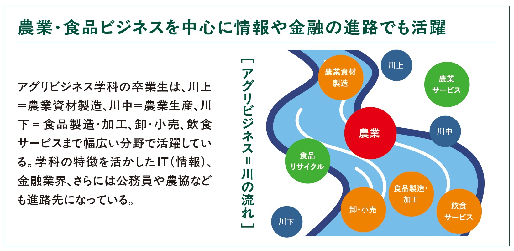 農業・食品ビジネスを中心に情報や金融の進路でも活躍