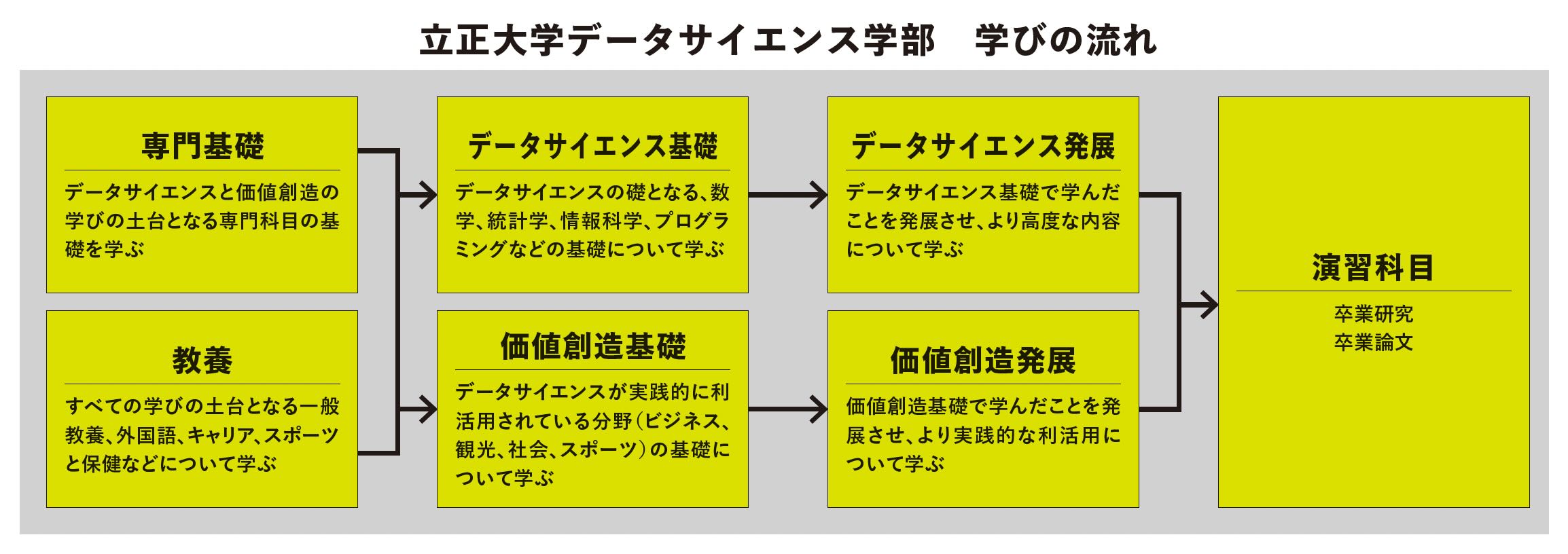 立正大学データサイエンス学部　学びの流れ